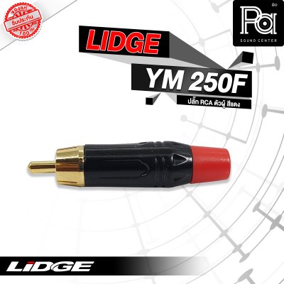 LIDGE YM-250F ปลั๊กRCA ตัวผู้  สีแดง