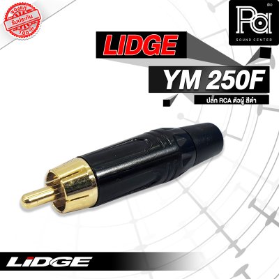 LIDGE YM-250F ปลั๊กRCA ตัวผู้ สีดำ