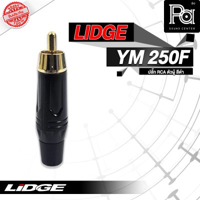 LIDGE YM-250F ปลั๊กRCA ตัวผู้ สีดำ