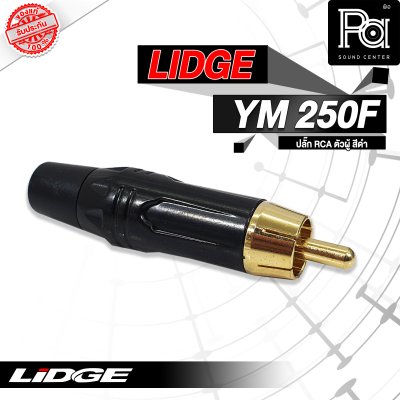 LIDGE YM-250F ปลั๊กRCA ตัวผู้ สีดำ