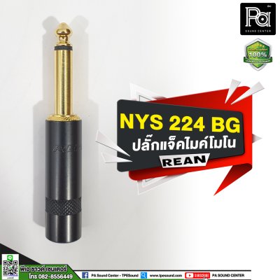 Rean NYS-224BG ปลั๊กไมค์โมโน