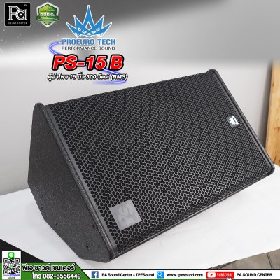 PROEURO TECH PS-15B ตู้ลำโพง 15 นิ้ว 2ทาง 300วัตต์ รุ่นใหม่