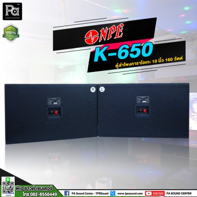 NPE K-650 ตู้ลำโพงคาราโอเกะ 10"