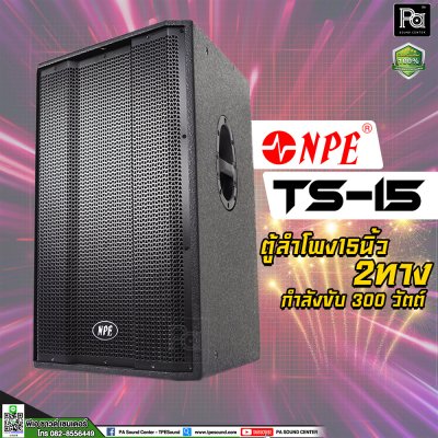 NPE TS-15 ตู้ลำโพง15 นิ้ว 2 ทาง 300 วัตต์