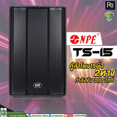 NPE TS-15 ตู้ลำโพง15 นิ้ว 2 ทาง 300 วัตต์