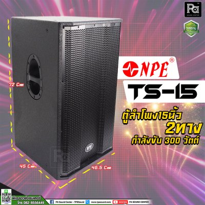 NPE TS-15 ตู้ลำโพง15 นิ้ว 2 ทาง 300 วัตต์