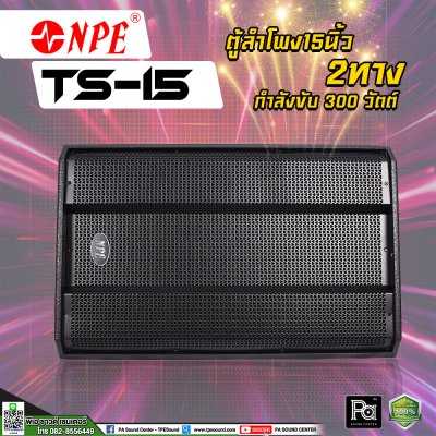 NPE TS-15 ตู้ลำโพง15 นิ้ว 2 ทาง 300 วัตต์