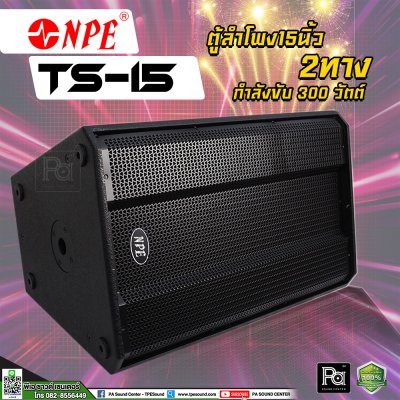 NPE TS-15 ตู้ลำโพง15 นิ้ว 2 ทาง 300 วัตต์
