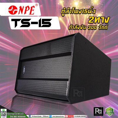 NPE TS-15 ตู้ลำโพง15 นิ้ว 2 ทาง 300 วัตต์