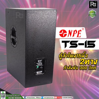 NPE TS-15 ตู้ลำโพง15 นิ้ว 2 ทาง 300 วัตต์