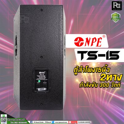 NPE TS-15 ตู้ลำโพง15 นิ้ว 2 ทาง 300 วัตต์