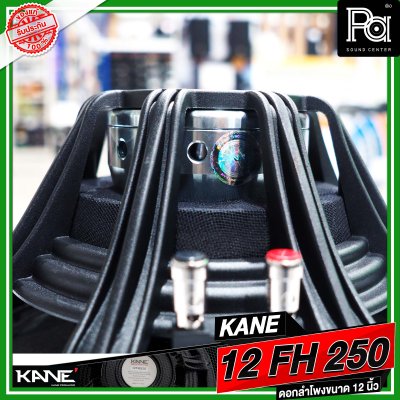 KANE 12 FH250 ดอกลำโพงขนาด 12 นิ้ว กำลังขับ 1000 วัตต์ วอยซ์ขนาด 3 นิ้ว