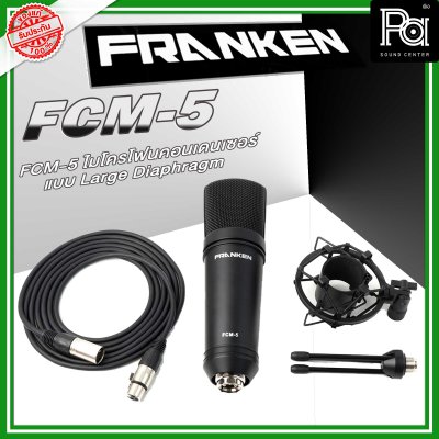 Franken FCM-5 ไมโครโฟนเครื่องดนตรี ไมค์คอนเดนเซอร์