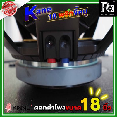 KANE 18 พริกขี้หนู ดอกลำโพงขนาด 18 นิ้ว