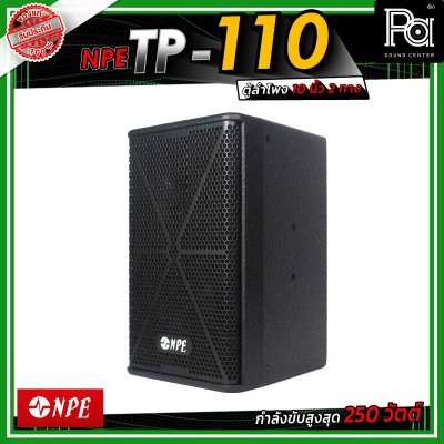 NPE TP-110 ตู้ลำโพงขนาด 10 นิ้ว 2 ทาง กำลังขับ 250 วัตต์