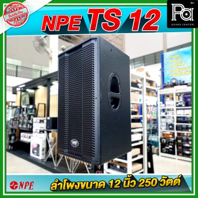 NPE TS 12 ตู้ลำโพง ขนาด 12 นิ้ว 2Way กำลังขับ 250W ที่ 8 โอห์ม