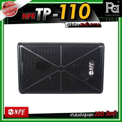NPE TP-110 ตู้ลำโพงขนาด 10 นิ้ว 2 ทาง กำลังขับ 250 วัตต์