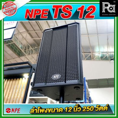 NPE TS 12 ตู้ลำโพง ขนาด 12 นิ้ว 2Way กำลังขับ 250W ที่ 8 โอห์ม