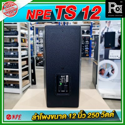 NPE TS 12 ตู้ลำโพง ขนาด 12 นิ้ว 2Way กำลังขับ 250W ที่ 8 โอห์ม