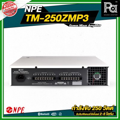 NPE TM 250Z MP3 Power Mixer Amplifier