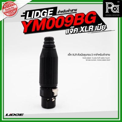 LIDGE YM 009BG แจ็ค XLR ตัวเมียชุบทอง 3 ขาสำหรับเข้าสาย