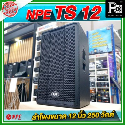 NPE TS 12 ตู้ลำโพง ขนาด 12 นิ้ว 2Way กำลังขับ 250W ที่ 8 โอห์ม