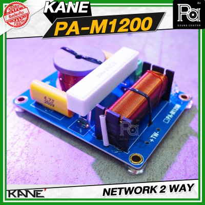 NETWORK 2 WAY KANE PA-M1200
