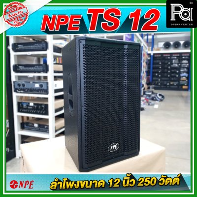 NPE TS 12 ตู้ลำโพง ขนาด 12 นิ้ว 2Way กำลังขับ 250W ที่ 8 โอห์ม