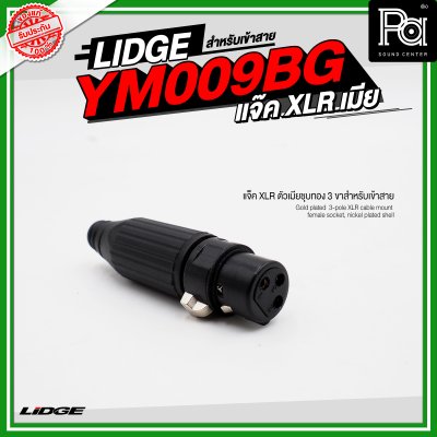 LIDGE YM 009BG แจ็ค XLR ตัวเมียชุบทอง 3 ขาสำหรับเข้าสาย