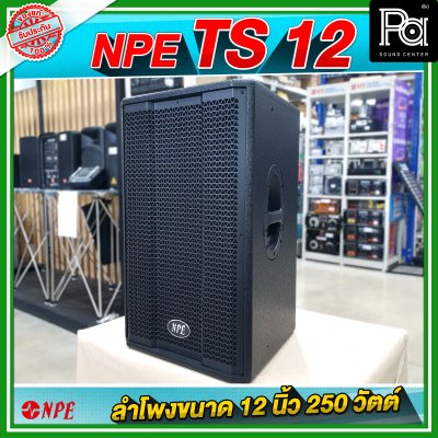 NPE TS 12 ตู้ลำโพง ขนาด 12 นิ้ว 2Way กำลังขับ 250W ที่ 8 โอห์ม