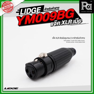 LIDGE YM 009BG แจ็ค XLR ตัวเมียชุบทอง 3 ขาสำหรับเข้าสาย