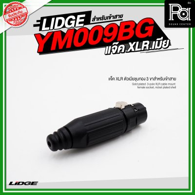 LIDGE YM 009BG แจ็ค XLR ตัวเมียชุบทอง 3 ขาสำหรับเข้าสาย