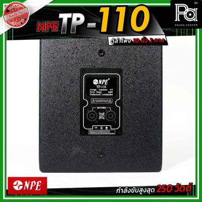 NPE TP-110 ตู้ลำโพงขนาด 10 นิ้ว 2 ทาง กำลังขับ 250 วัตต์