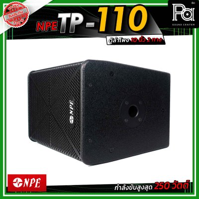 NPE TP-110 ตู้ลำโพงขนาด 10 นิ้ว 2 ทาง กำลังขับ 250 วัตต์