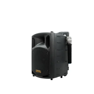 BIK SLC-8 ตู้ลำโพงเคลื่อนที่ 8 นิ้ว มีแอมป์ในตัว ไมค์ลอยคู่ DVD/USB/ Bluetooth