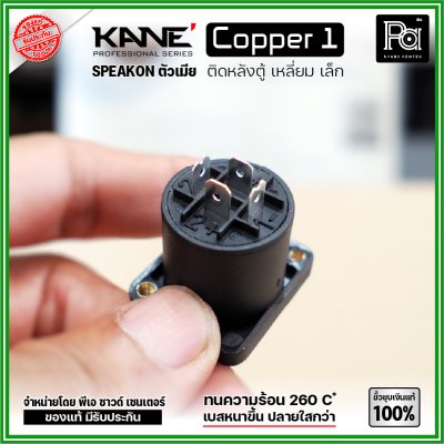 KANE COPPER1 (1 ชิ้น) สปีคคอนตัวเมีย เหลี่ยมเล็ก ขั้วชุบเงินแท้ 100%  สำหรับติดหลังตู้ลำโพง