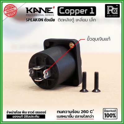 KANE COPPER1 (1 ชิ้น) สปีคคอนตัวเมีย เหลี่ยมเล็ก ขั้วชุบเงินแท้ 100%  สำหรับติดหลังตู้ลำโพง