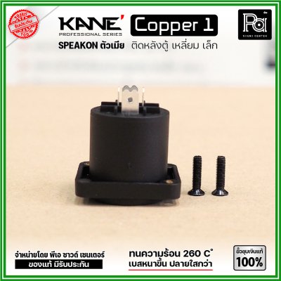 KANE COPPER1 (1 ชิ้น) สปีคคอนตัวเมีย เหลี่ยมเล็ก ขั้วชุบเงินแท้ 100%  สำหรับติดหลังตู้ลำโพง