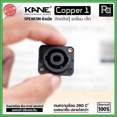 KANE COPPER1 (1 ชิ้น) สปีคคอนตัวเมีย เหลี่ยมเล็ก ขั้วชุบเงินแท้ 100%  สำหรับติดหลังตู้ลำโพง