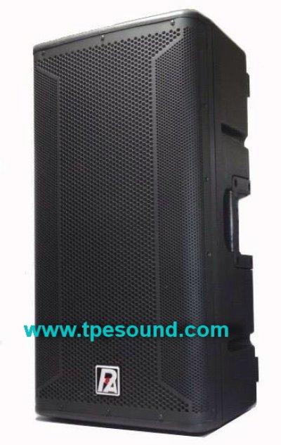 P.AUDIO MASTER 915P TWO WAY FULL RANGE LOUDSPEAKER