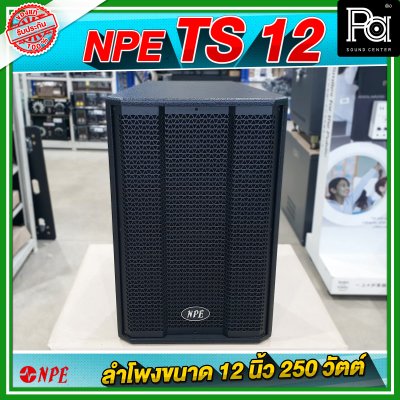 NPE TS 12 ตู้ลำโพง ขนาด 12 นิ้ว 2Way กำลังขับ 250W ที่ 8 โอห์ม