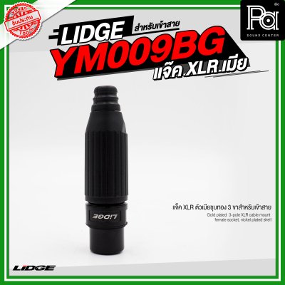 LIDGE YM 009BG แจ็ค XLR ตัวเมียชุบทอง 3 ขาสำหรับเข้าสาย