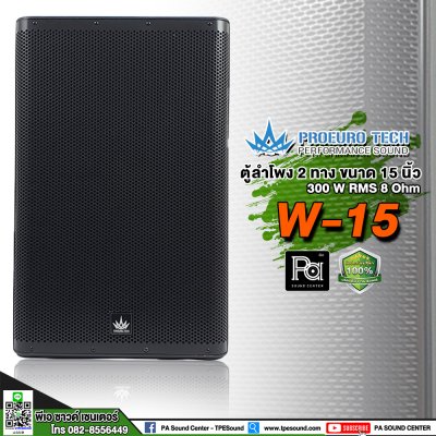 PROEUROTECH W-15 ตู้ลำโพง15" 300W 8Ohm