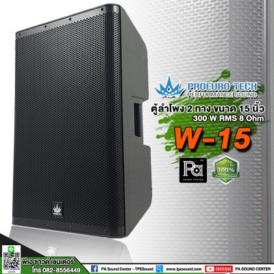 PROEUROTECH W-15 ตู้ลำโพง15" 300W 8Ohm