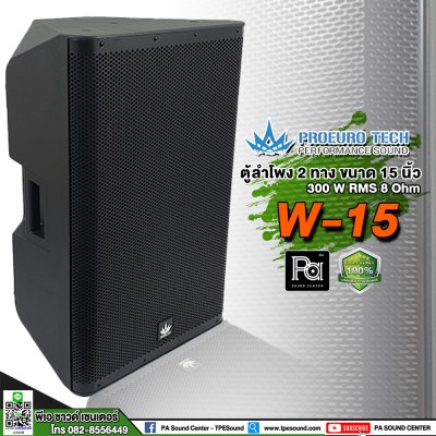 PROEUROTECH W-15 ตู้ลำโพง15" 300W 8Ohm