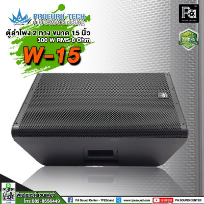 PROEUROTECH W-15 ตู้ลำโพง15" 300W 8Ohm