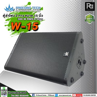 PROEUROTECH W-15 ตู้ลำโพง15" 300W 8Ohm