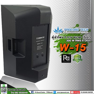 PROEUROTECH W-15 ตู้ลำโพง15" 300W 8Ohm