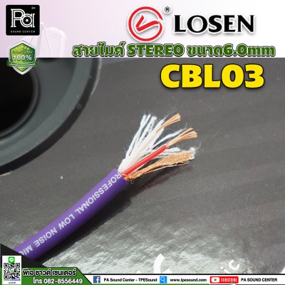 LOSEN CBL03 สายไมค์ STEREO ขนาด 6.0mm สีม่วง