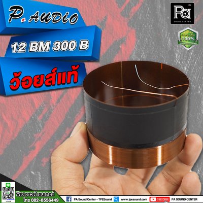 ว้อยส์ P.AUDIO 12BM 300B